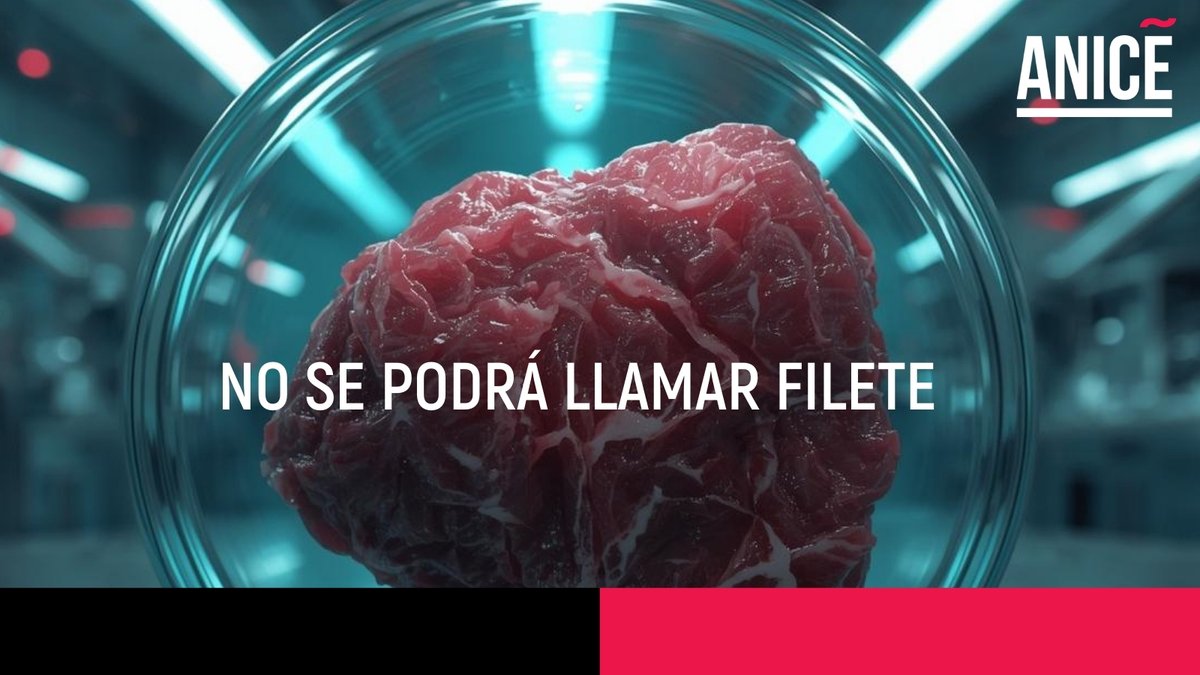 ⚖️ La UE reconoce que las denominaciones cárnicas son exclusivas de productos de origen animal 🥩=🥩.
La autenticidad recupera su lugar y cuando la verdad prevalece, el consumidor gana ⤵️
f.mtr.cool/llyvmembwz