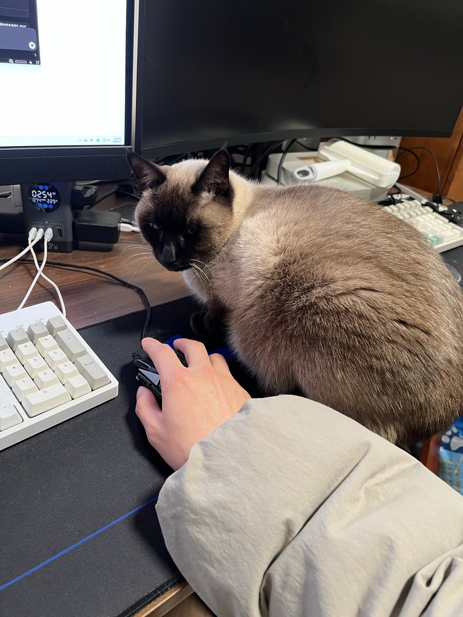 Vergessenful tweet media