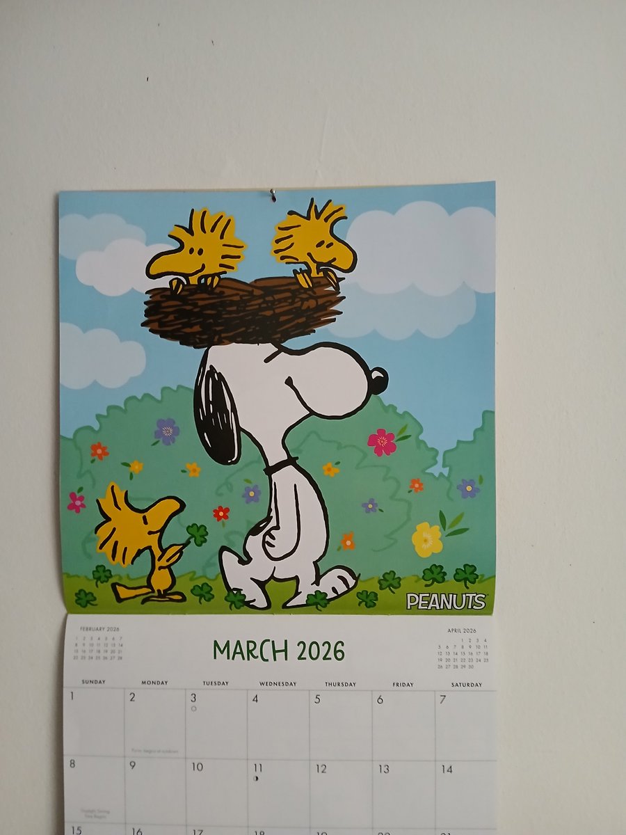 JulieTaylor722's tweet photo. @fox29goodday @MikeFOX29 @AlexHolleyFOX29 Does a calendar count of Woodatock? https://t.co/21eeqhfYTm