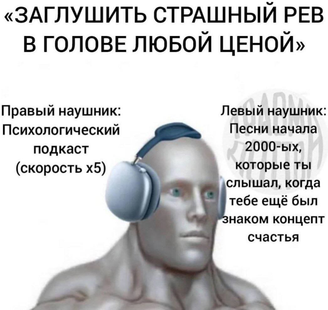 meows 🃏 tweet media