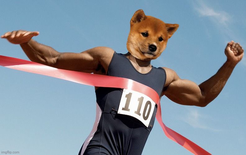 What’s Updog? tweet media