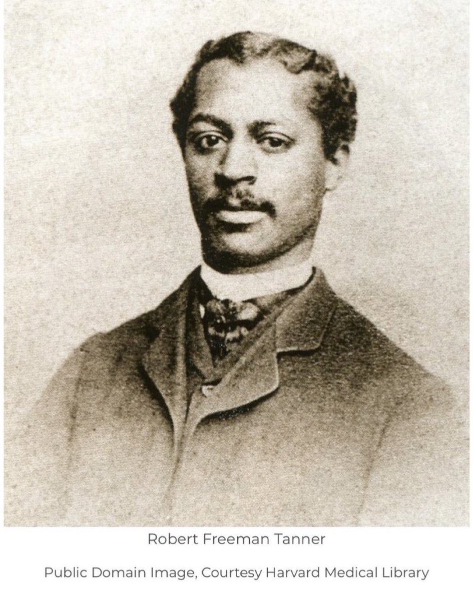 LanaQuest aka RosaSparks tweet media