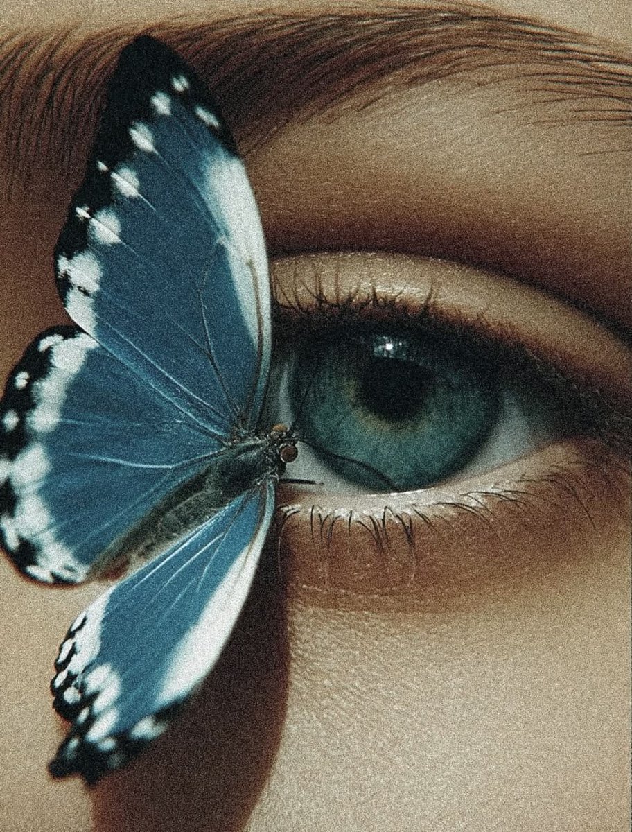 Your time as a caterpillar has expired. Your wings are ready.
—Rumi