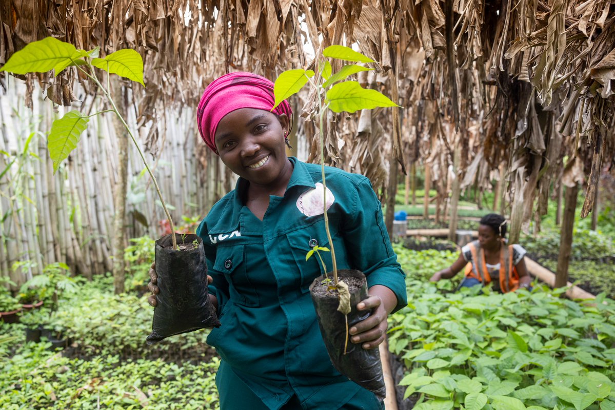 Virunga National Park tweet media