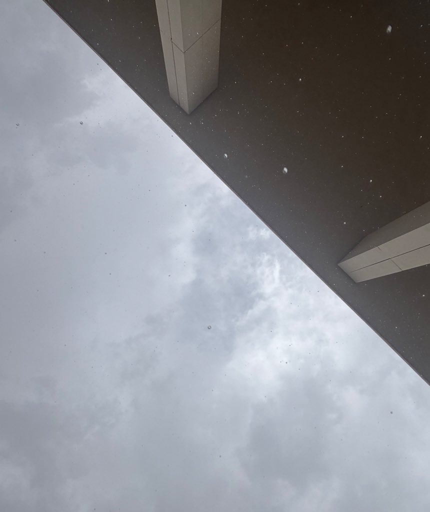 هيَا tweet media