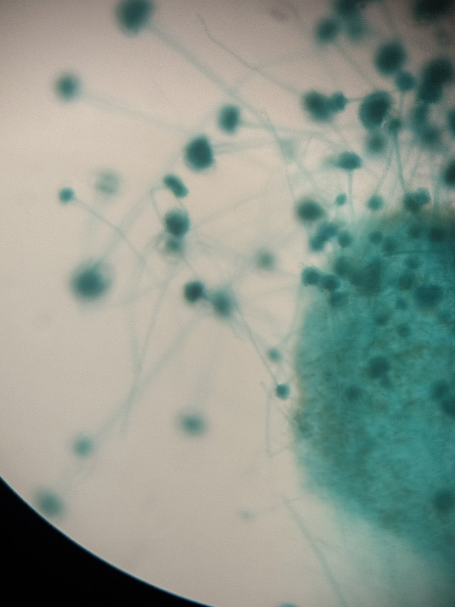 هيَا tweet media