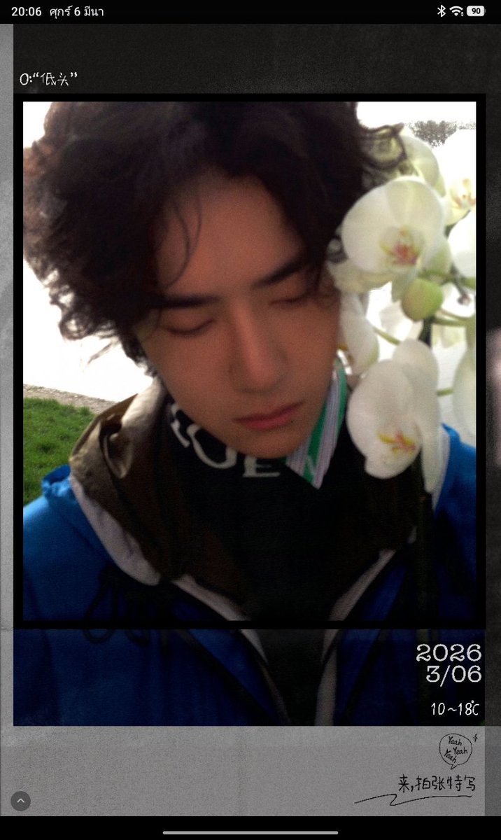 นับเลือกตั้งใหม่ทั่วประเทศ tweet media