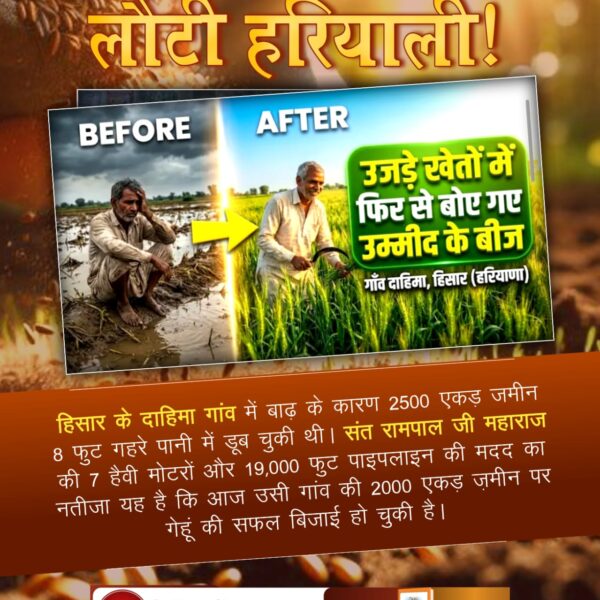 #किसान_मसीहा_संतरामपालजी
हिसार के दाहिमा गांव में बाढ़ के कारण 2500 एकड़ जमीन 8 फुट गहरे पानी में डूब चुकी थी। संत रामपाल जी महाराज की 7 हैवी मोटरों और 19,000 फुट पाइपलाइन की मदद का नतीजा यह है कि आज उसी गांव की 2000 एकड़ जमीन पर गेहूं की सफल बिजाई हो चुकी है।
SA News Channel YT