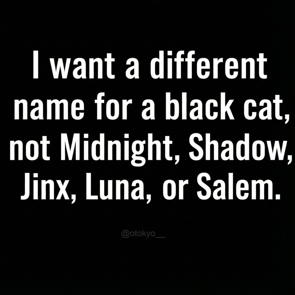 Chef 👩🏻‍🍳 tweet media