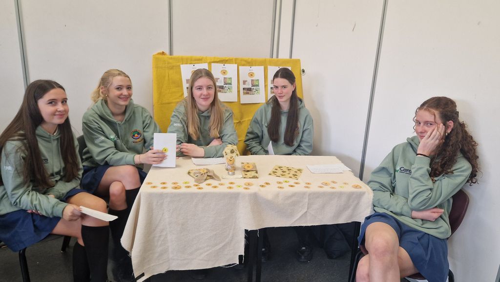 Pobalscoil Chorca Dhuibhne tweet media