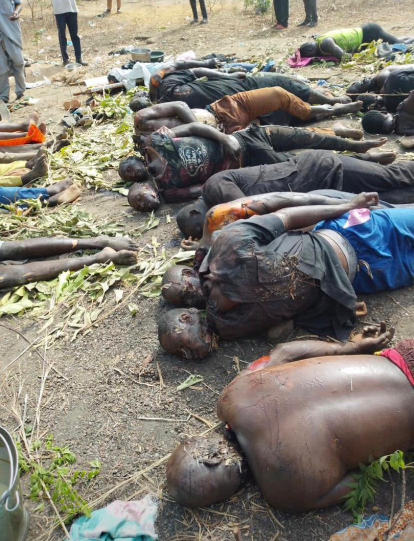 Ali jita tweet media