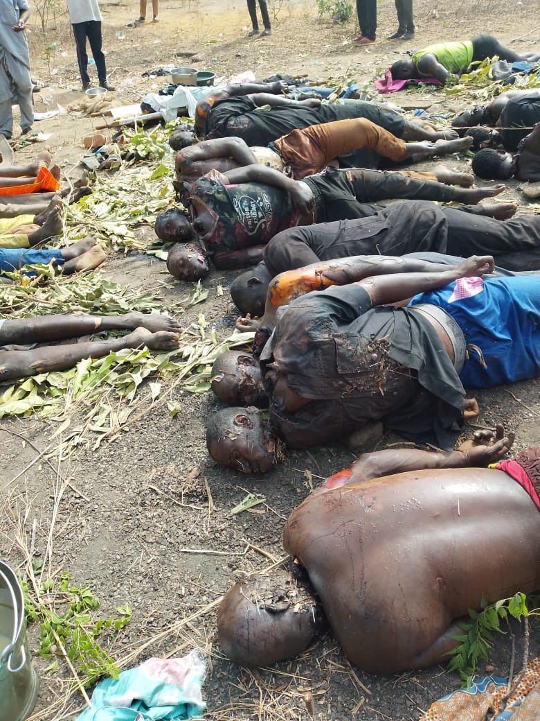 Ali jita tweet media