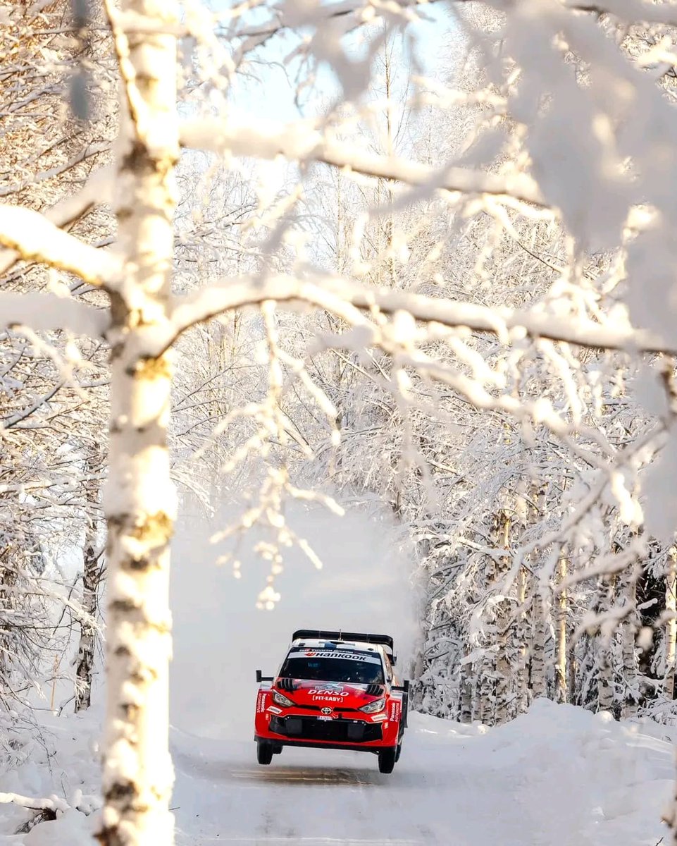 CinemaRoast's tweet image. From the podium to the showroom! 🏁

Catch @ElfynEvans and @samipajari this Sunday at Toyota Kenya, Uhuru Highway.
📍 10:00 AM – 11:00 AM.
Be there to meet the legends before the engines roar next week! 
#MadeForThis #CfaoMobilityDrivesKenya
@CFAOMobilityKE