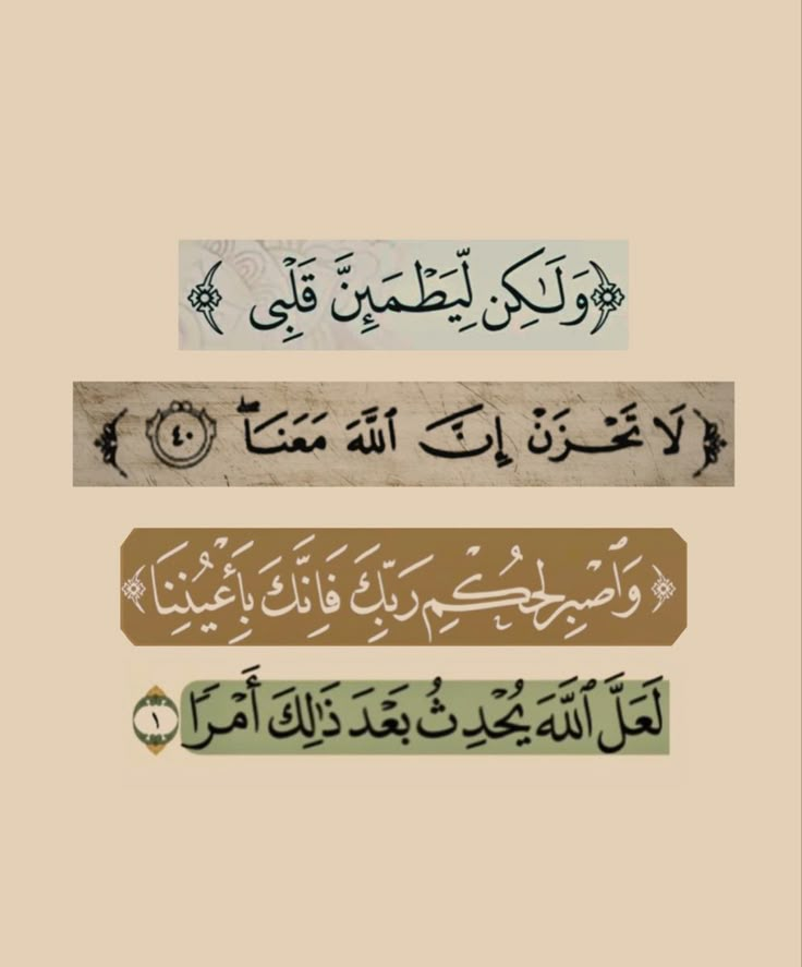 Ammar Mohammed tweet media