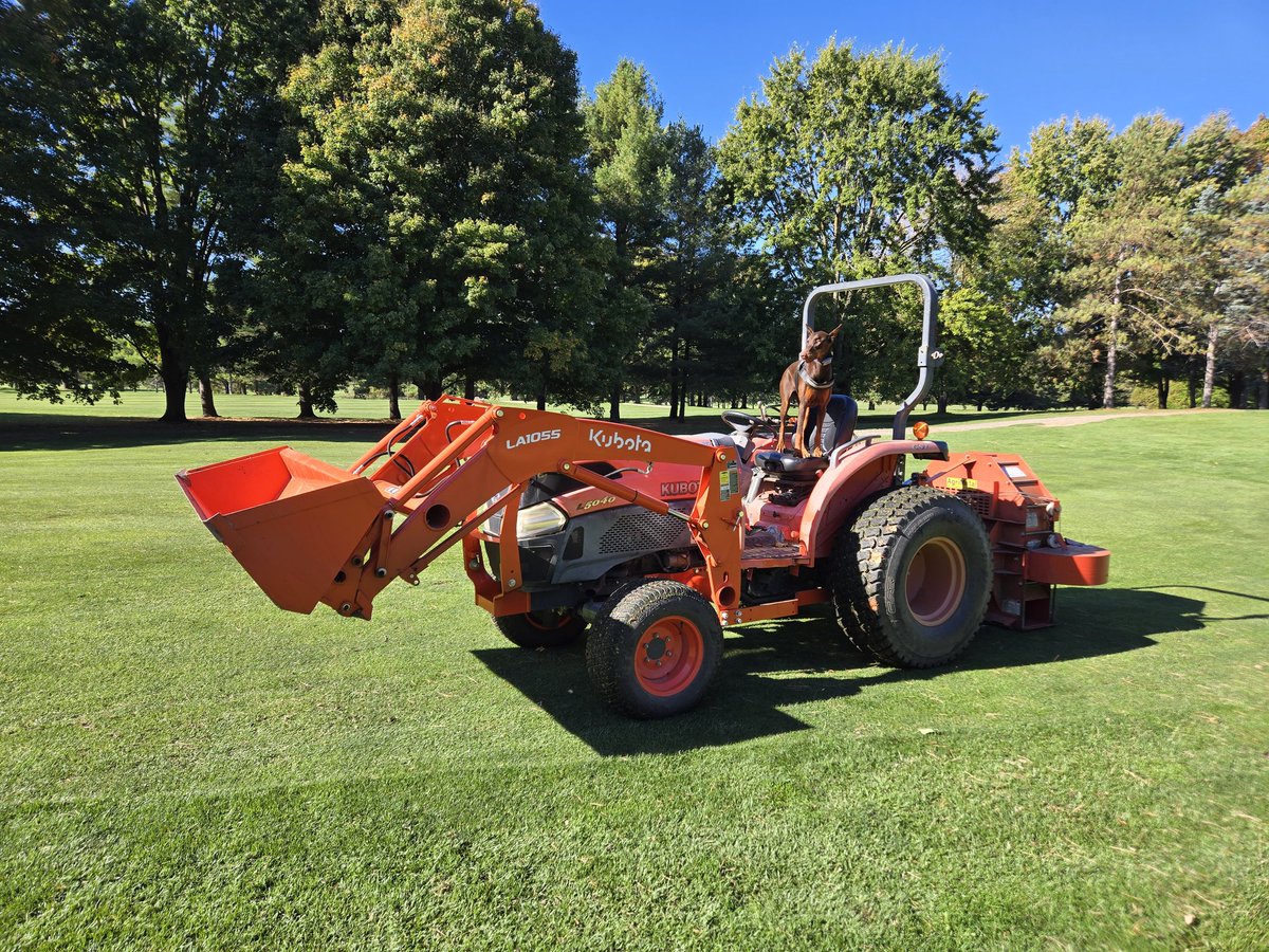 Ashley Binkle tweet media