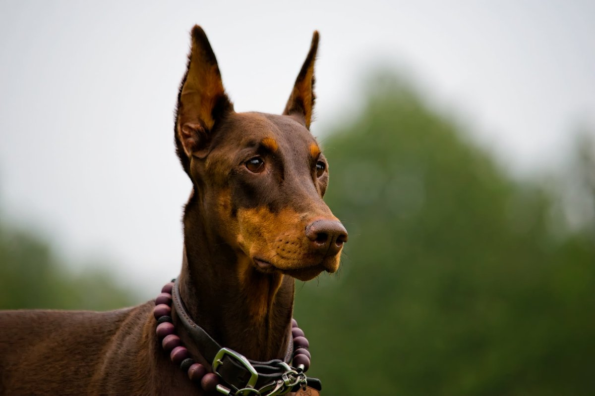 Ashley Binkle tweet media