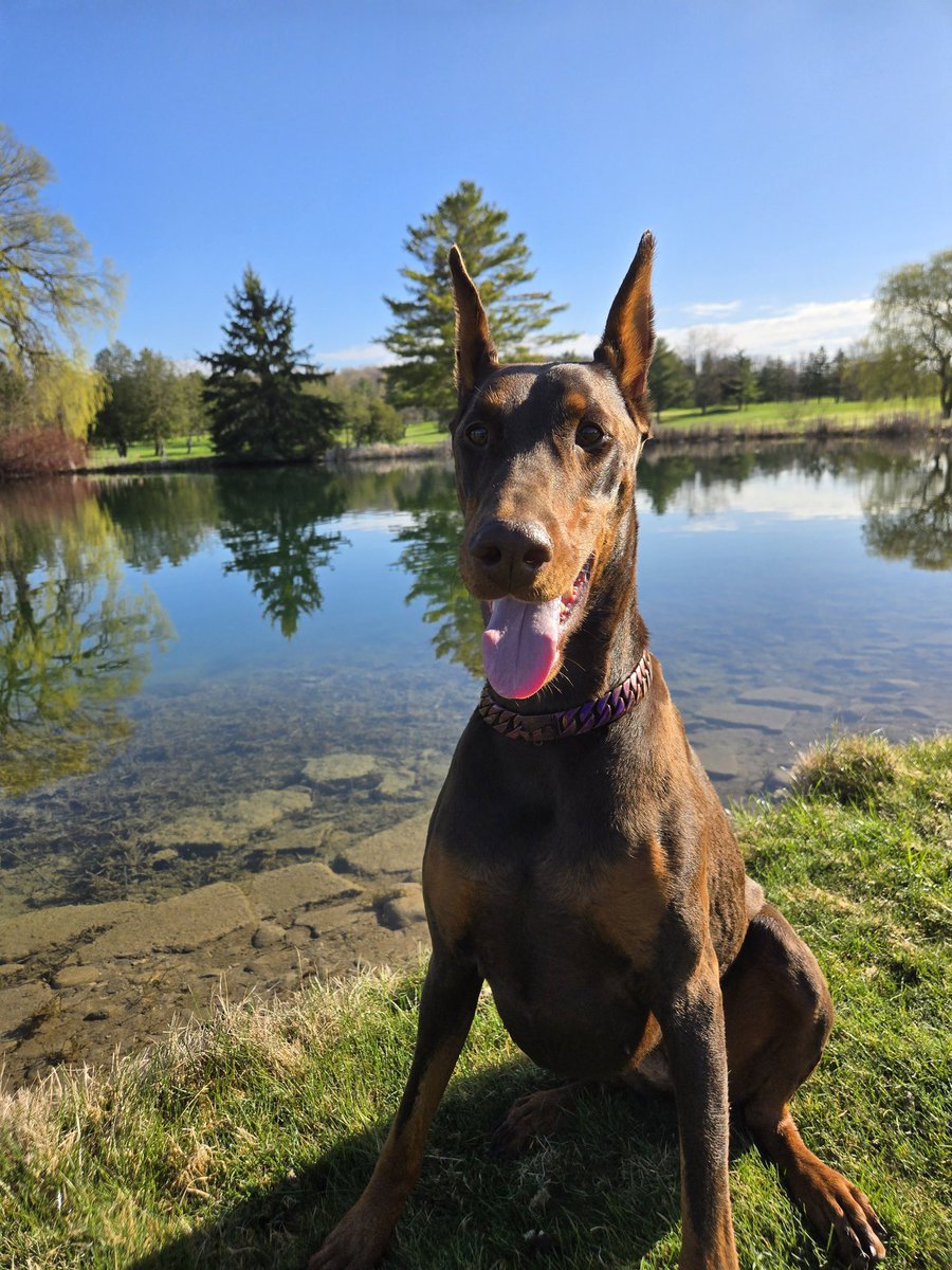 Ashley Binkle tweet media