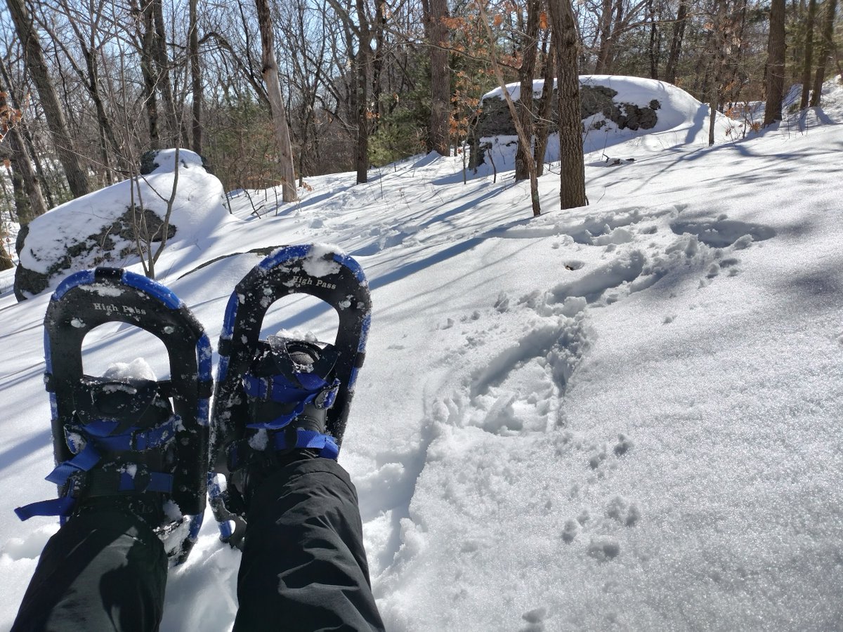 Diego Puppin tweet media