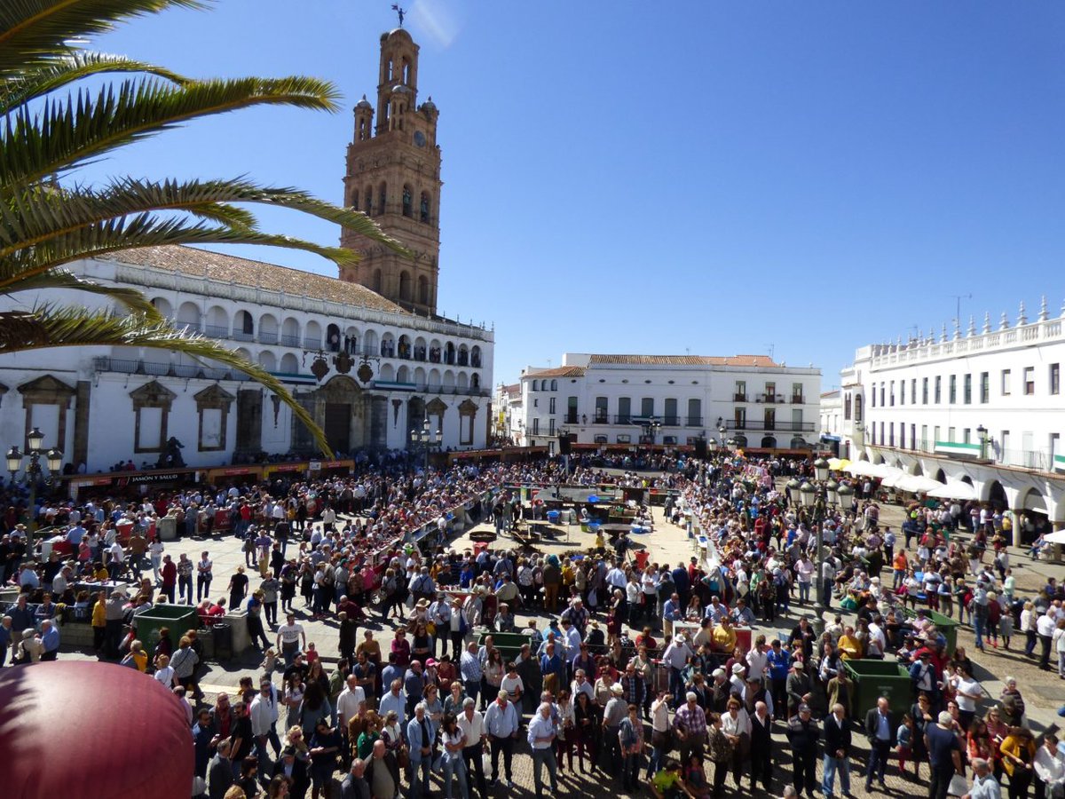 Miradas Viajeras tweet media