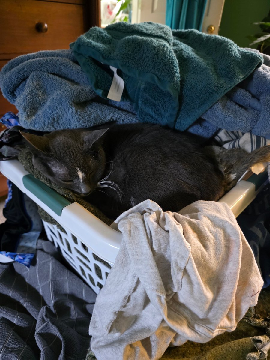 Sean R. Frazier, Author tweet media