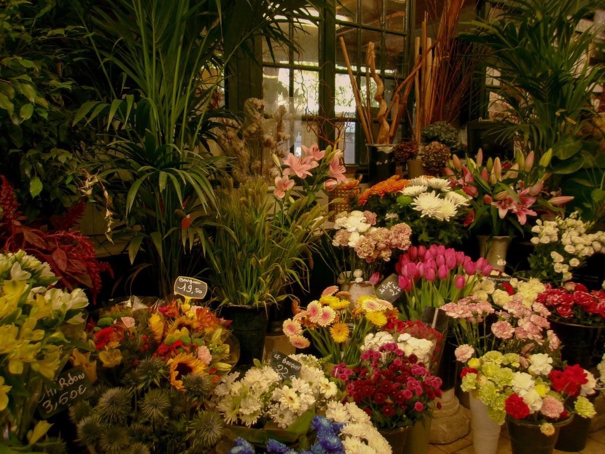 gal౨ৎ tweet media