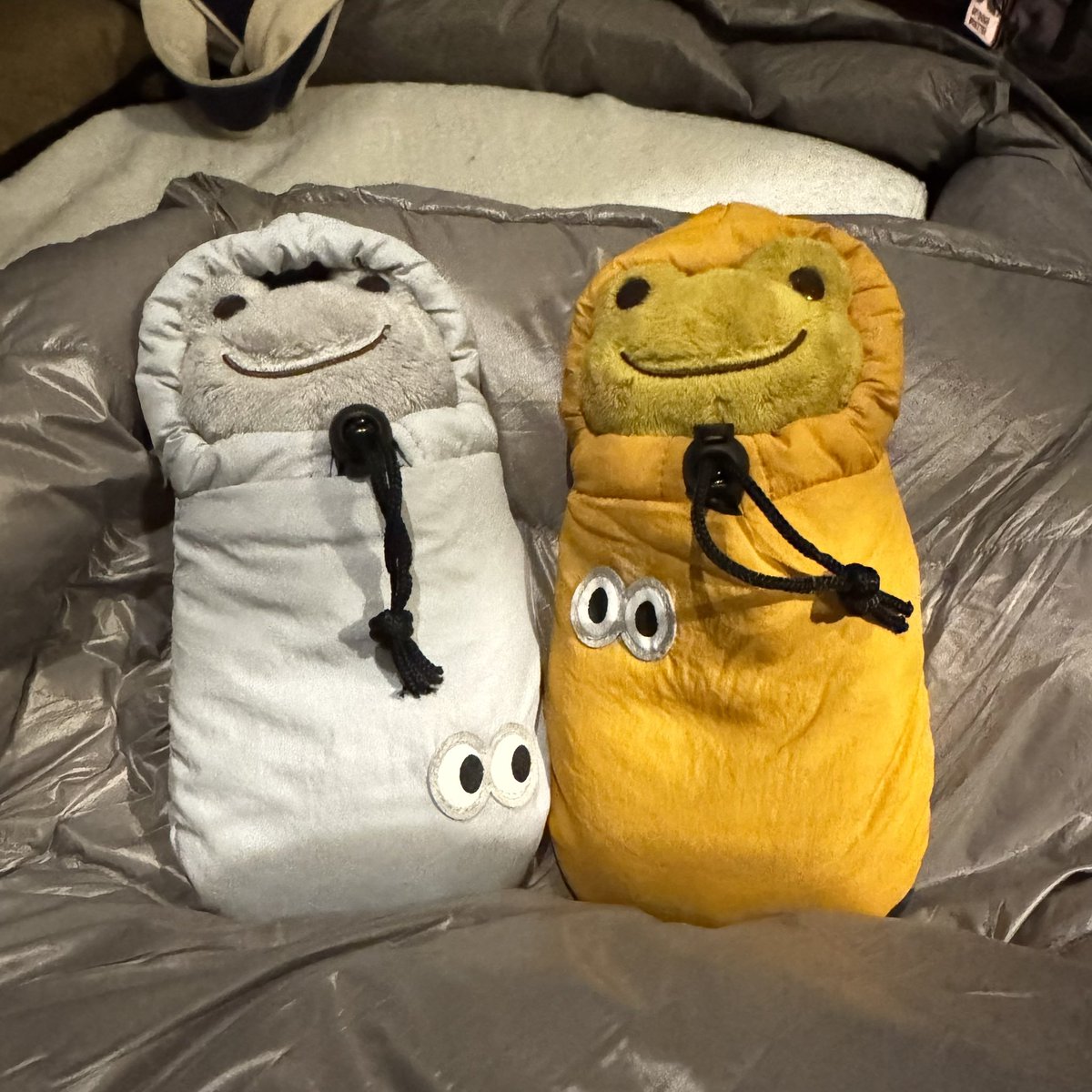 ちくわ@(´・ω・｀) tweet media