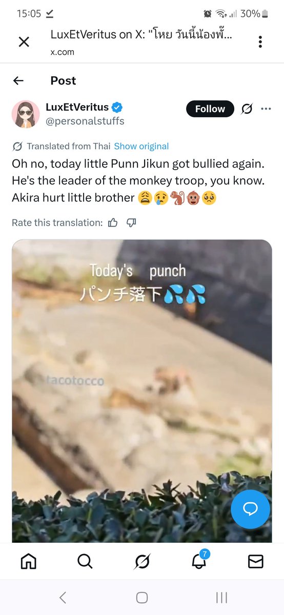ceekiley's tweet photo. Terrible! @ichikawa_zoo is this torture worth the tickets you're selling????
Don't believe AI slop. This is Akira bullying punch. Today.
#JusticeForPunch https://t.co/1sJQAX1rVp