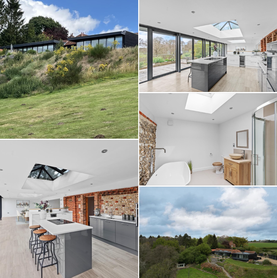 abbotFox tweet media