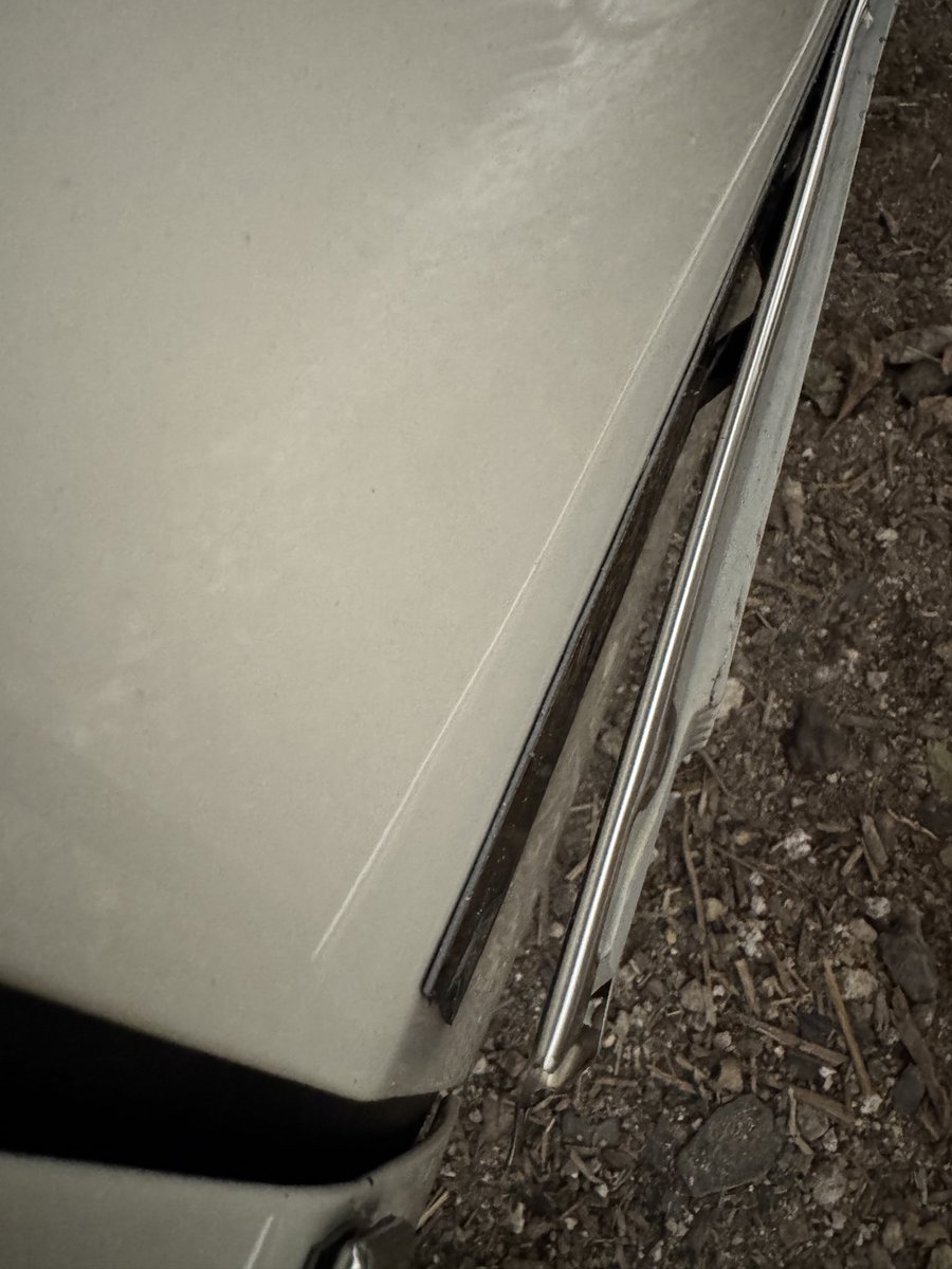 Nicorvette tweet media