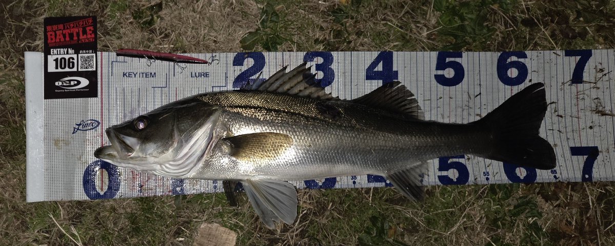 りょう tweet media