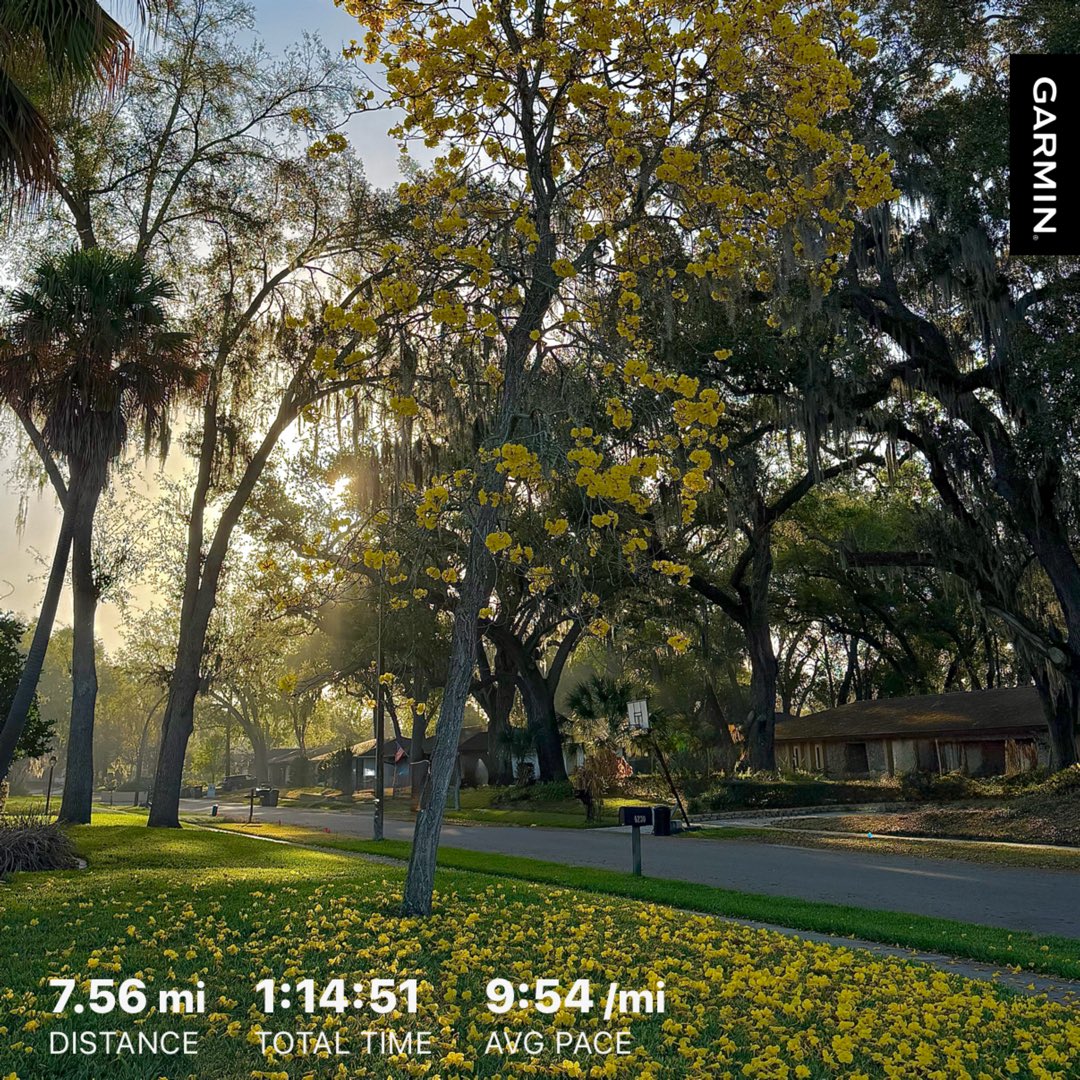 JohnBostonRowe's tweet image. A beautiful morning to get some miles in… 

#FloridaRunner #DailyRunner #SunriseRunner #KeepMoving

#RunningStreak: 2255 days