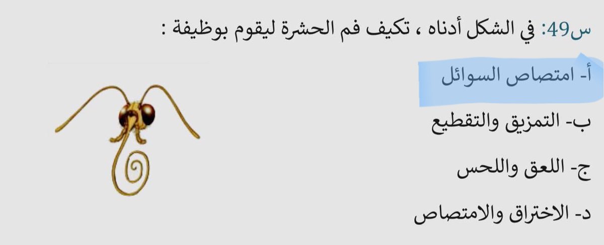 بيان tweet media