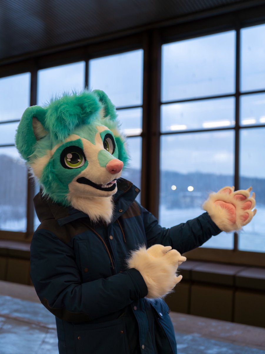 CuteRaccoo's tweet photo. Look at this... window? 
#FursuitFriday #fursuit https://t.co/hzSv4DiTsX