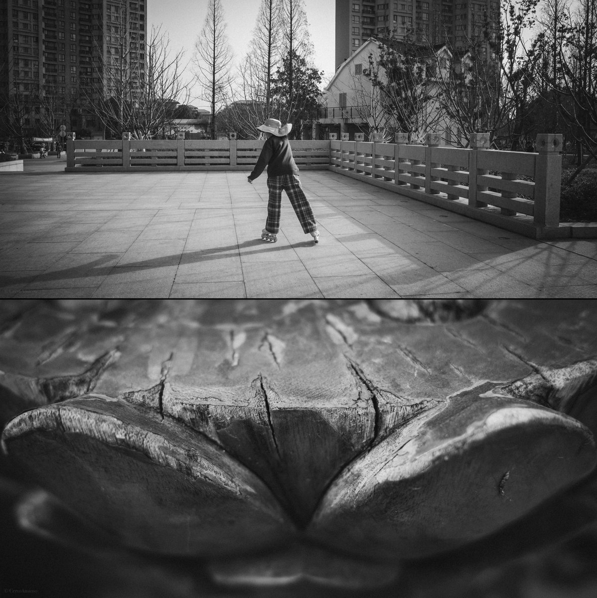 不安鹿 (@cervoansioso) on Twitter photo 