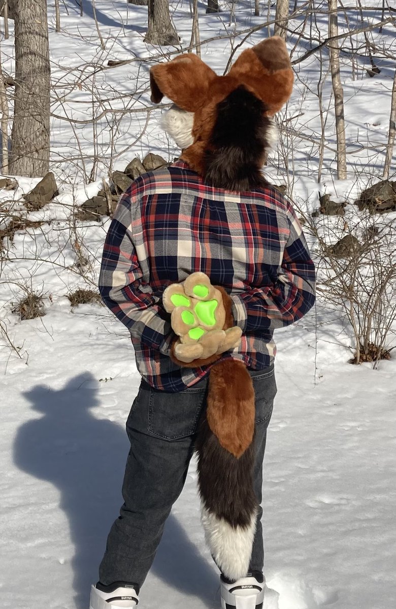 🧵MadeByPaws🪡(Coms Open) tweet media