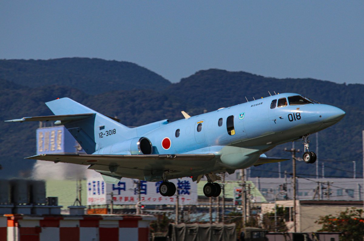 しまかぜ tweet media