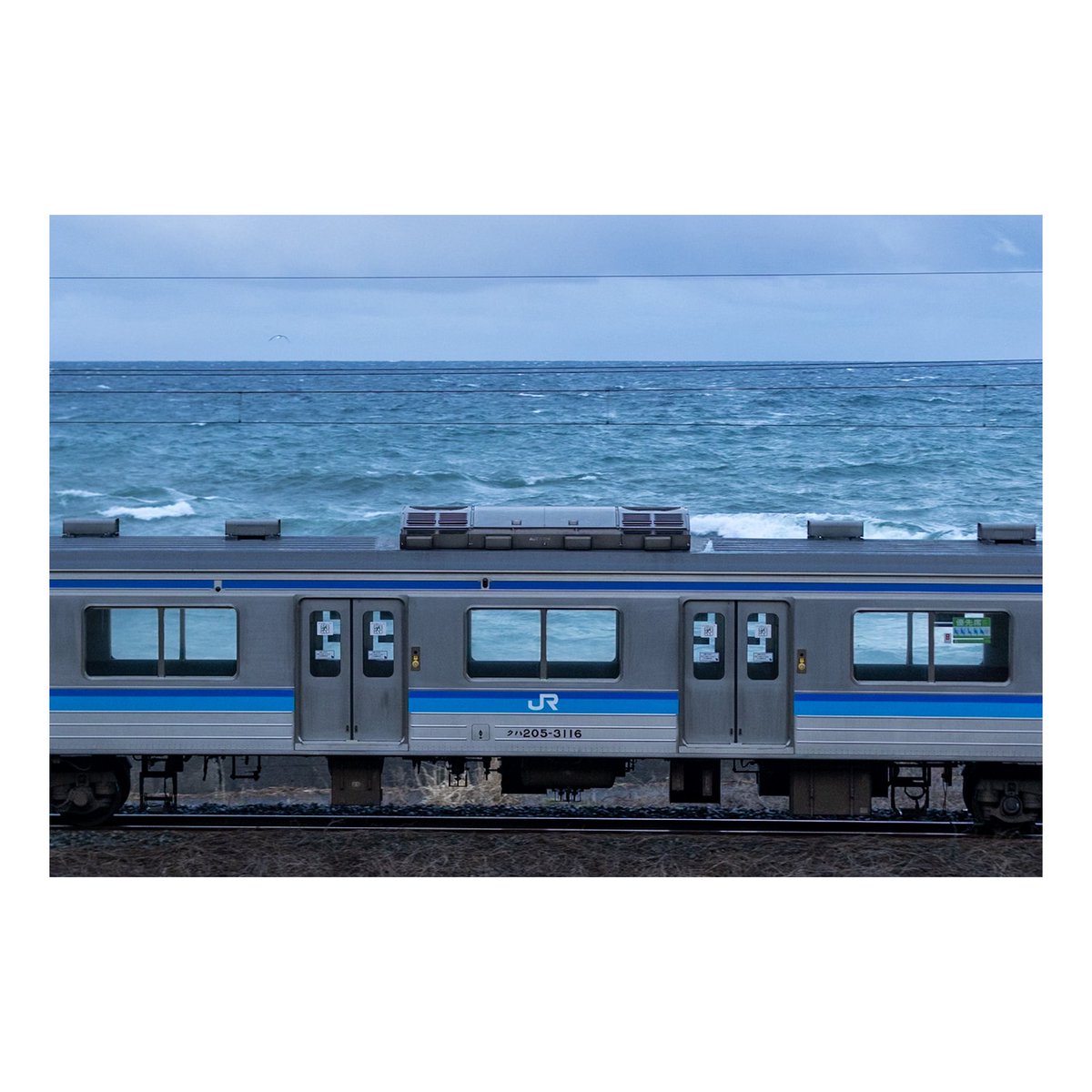 saidai (@saidai24561381) / Posts / X