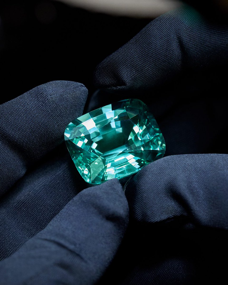 harrywinston tweet media