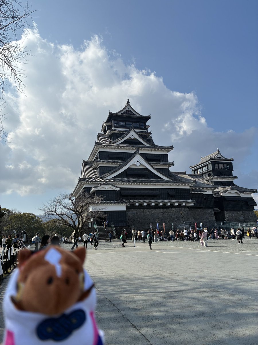 タコライス tweet media