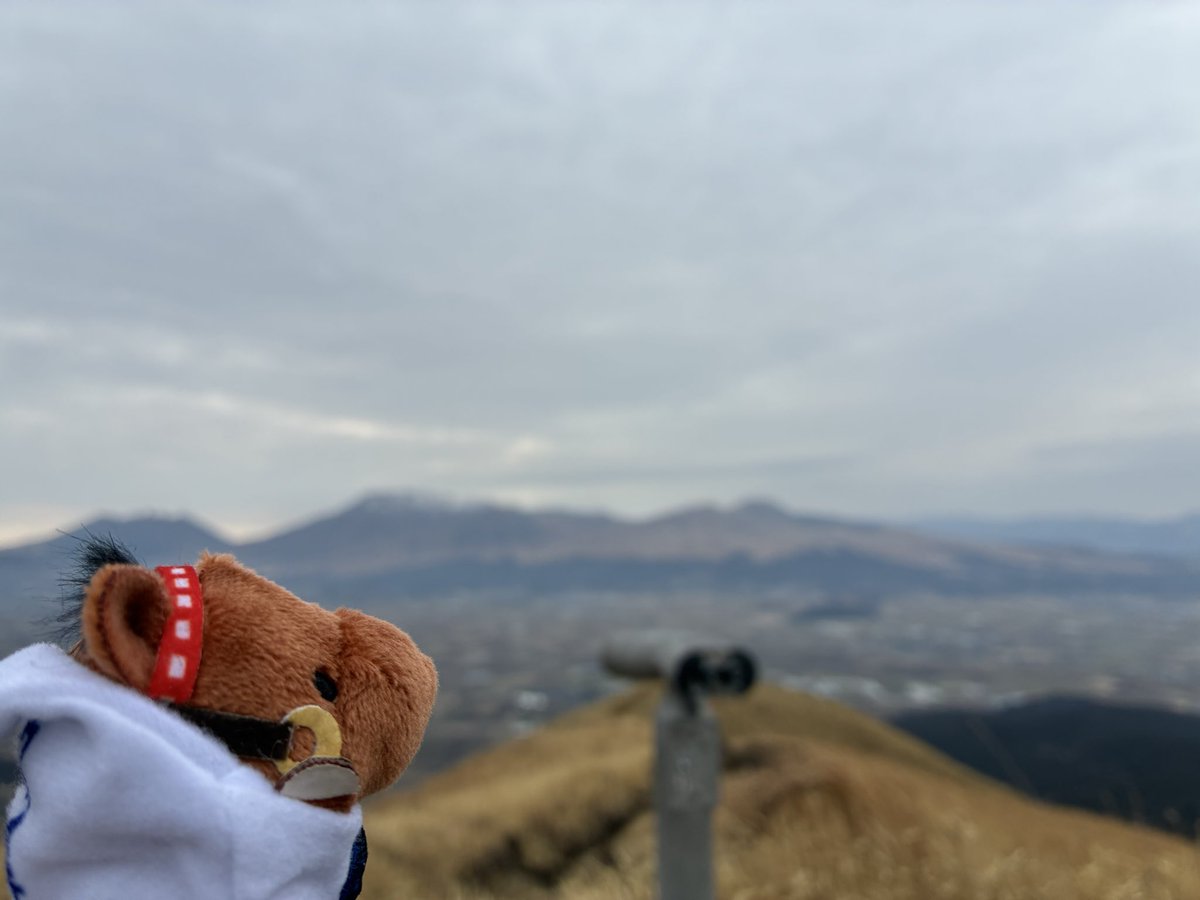 タコライス tweet media