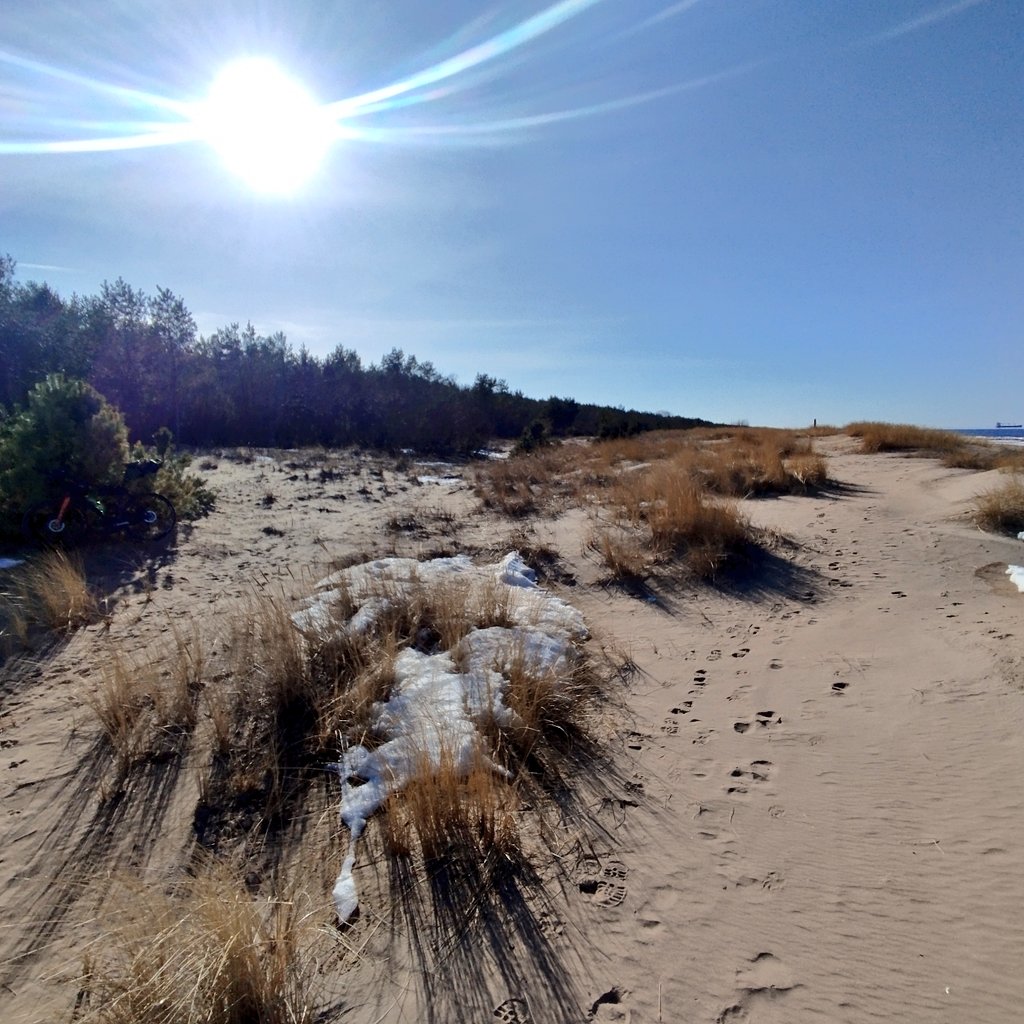 Jānis Zvērs tweet media