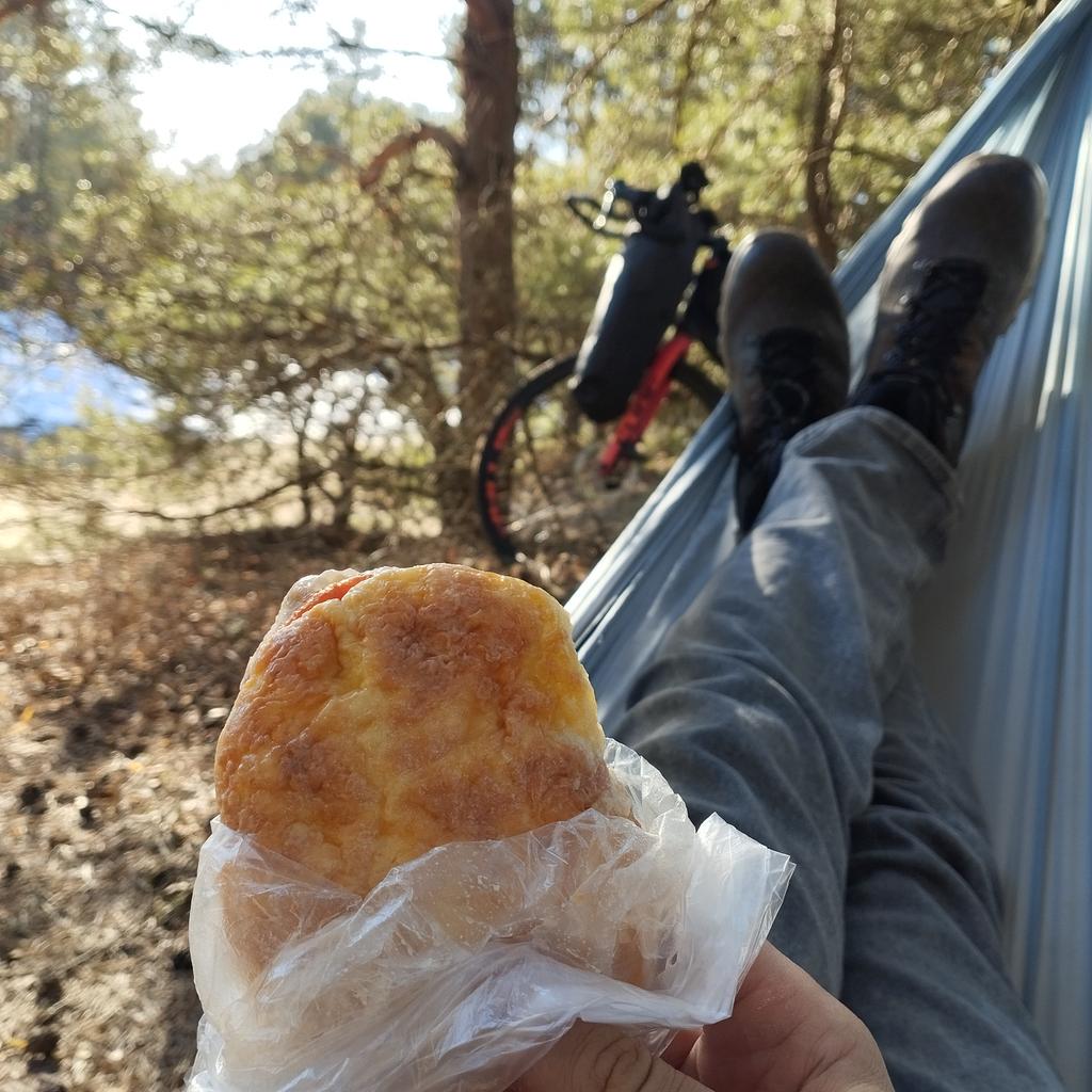 Jānis Zvērs tweet media