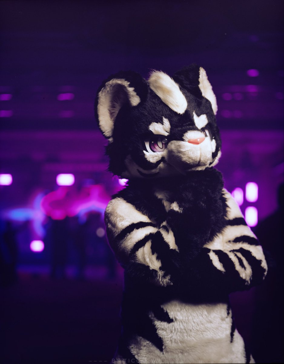 LigerRoxy tweet media