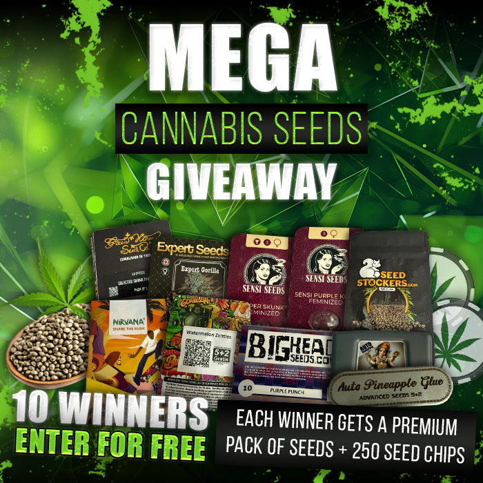 London Seed Centre tweet media