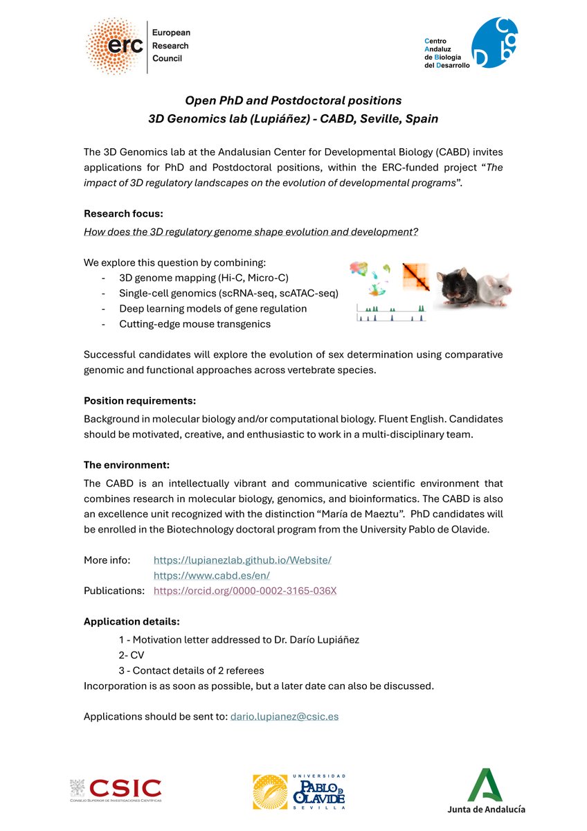 @dariloops.bsky.social tweet media