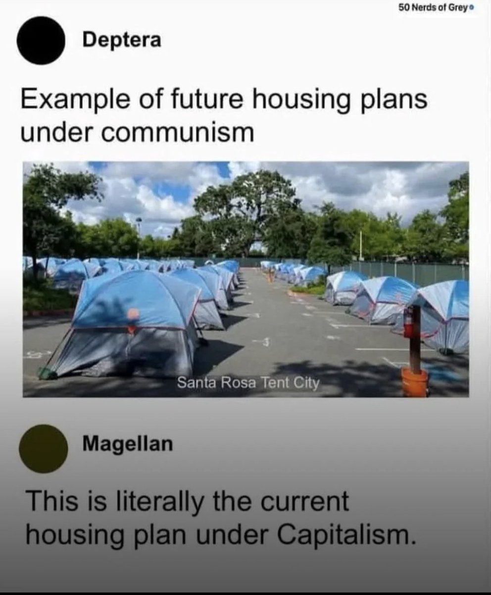 🧡Lulu🌾; tweet media