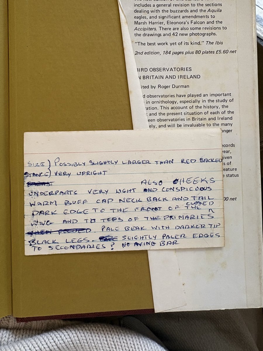 millierosek's tweet photo. Just been poking around the old book shops in Norwich and bought this copy ‘Rare Birds in Britain and Ireland’, opened it up to find a few surprises in there 🥹 I don’t know who owned this but I love finding other people’s notes in secondhand books https://t.co/B3CsLS1tGF