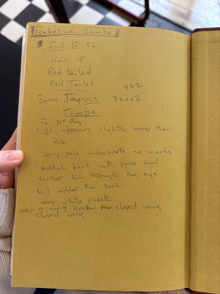 millierosek's tweet photo. Just been poking around the old book shops in Norwich and bought this copy ‘Rare Birds in Britain and Ireland’, opened it up to find a few surprises in there 🥹 I don’t know who owned this but I love finding other people’s notes in secondhand books https://t.co/B3CsLS1tGF