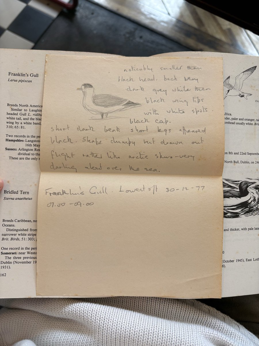 millierosek's tweet photo. Just been poking around the old book shops in Norwich and bought this copy ‘Rare Birds in Britain and Ireland’, opened it up to find a few surprises in there 🥹 I don’t know who owned this but I love finding other people’s notes in secondhand books https://t.co/B3CsLS1tGF