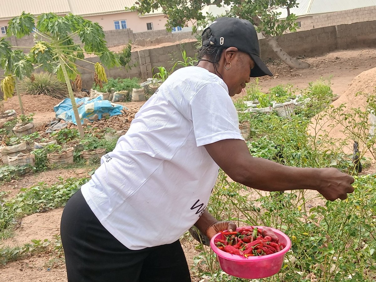 Dr Michael Terungwa David #Climate #Food #Justice tweet media
